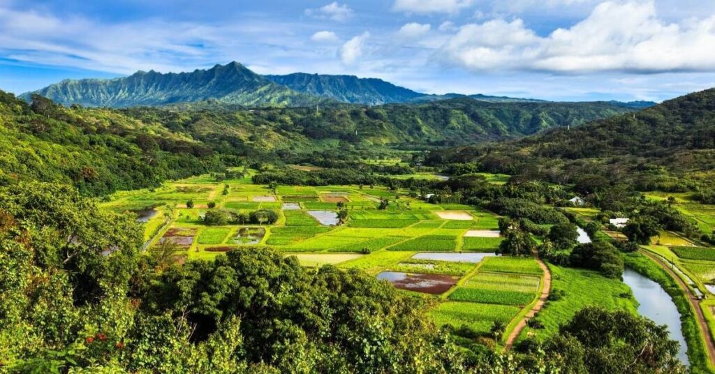 things to do kauai
