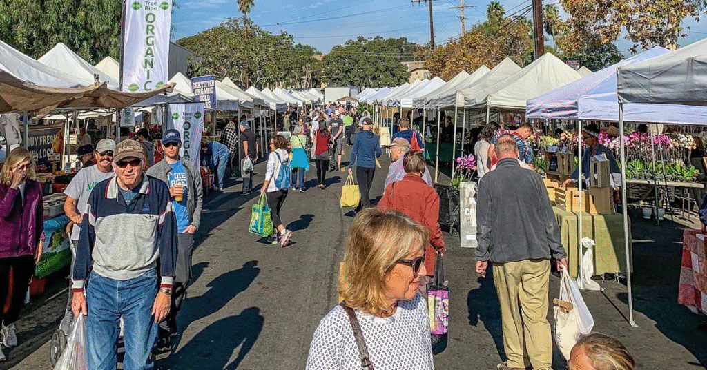 things to do laguna