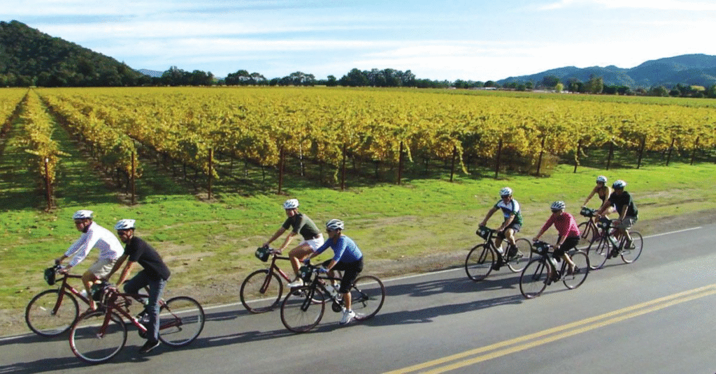 things to do napa