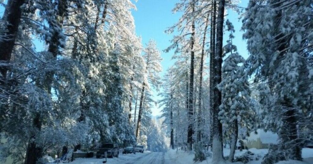things to do in idyllwild