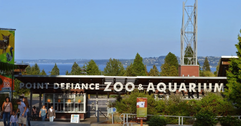 things to do tacoma
