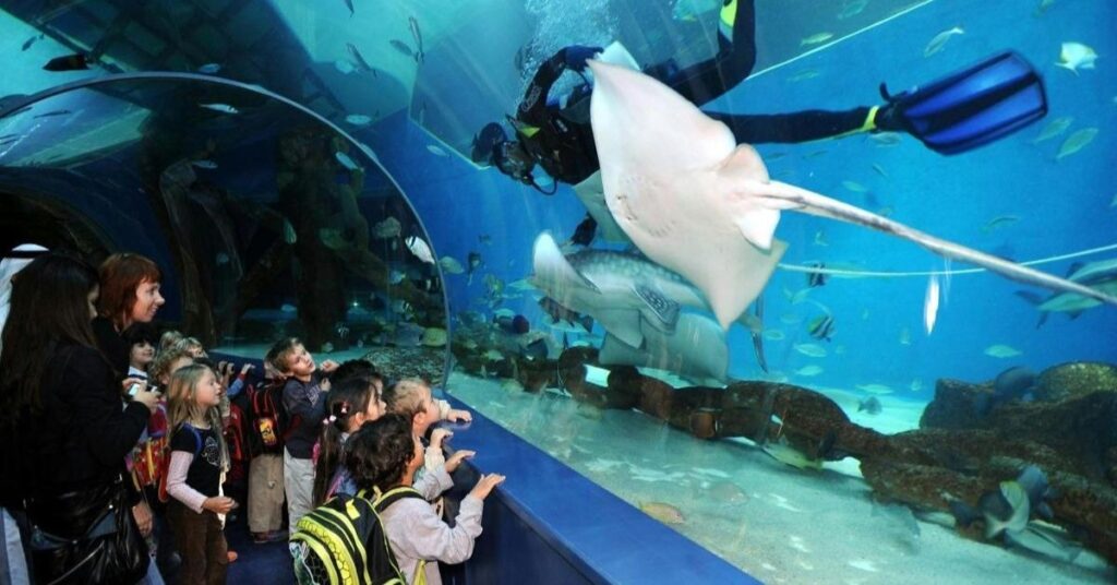 things to do in shreveport