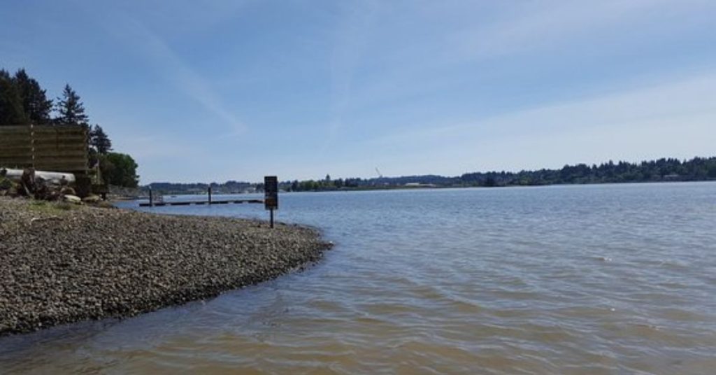 things to do in Olympia