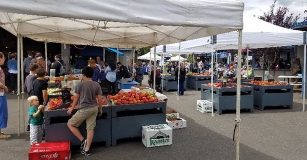 things to do in Olympia
