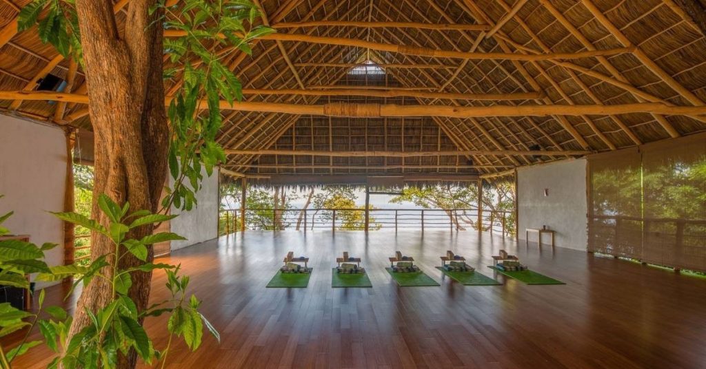 things to do in Ubud