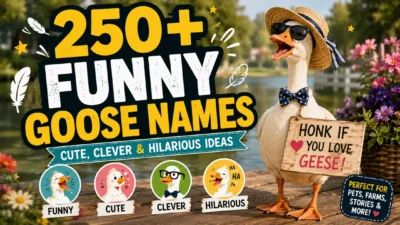 250+ funny goose names with a cute goose wearing sunglasses, a hat, and bow tie