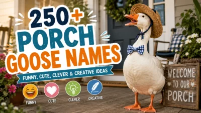 250+ porch goose names banner with a cute goose, porch decor, and funny, clever, creative name ideas